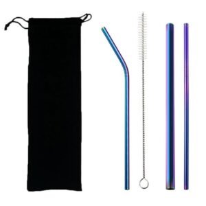 Reusable Straws Set of 4
